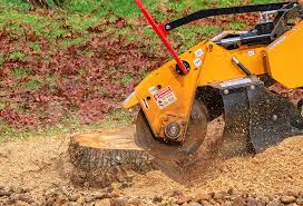 How Our Tree Care Process Works  in  Chase City, VA